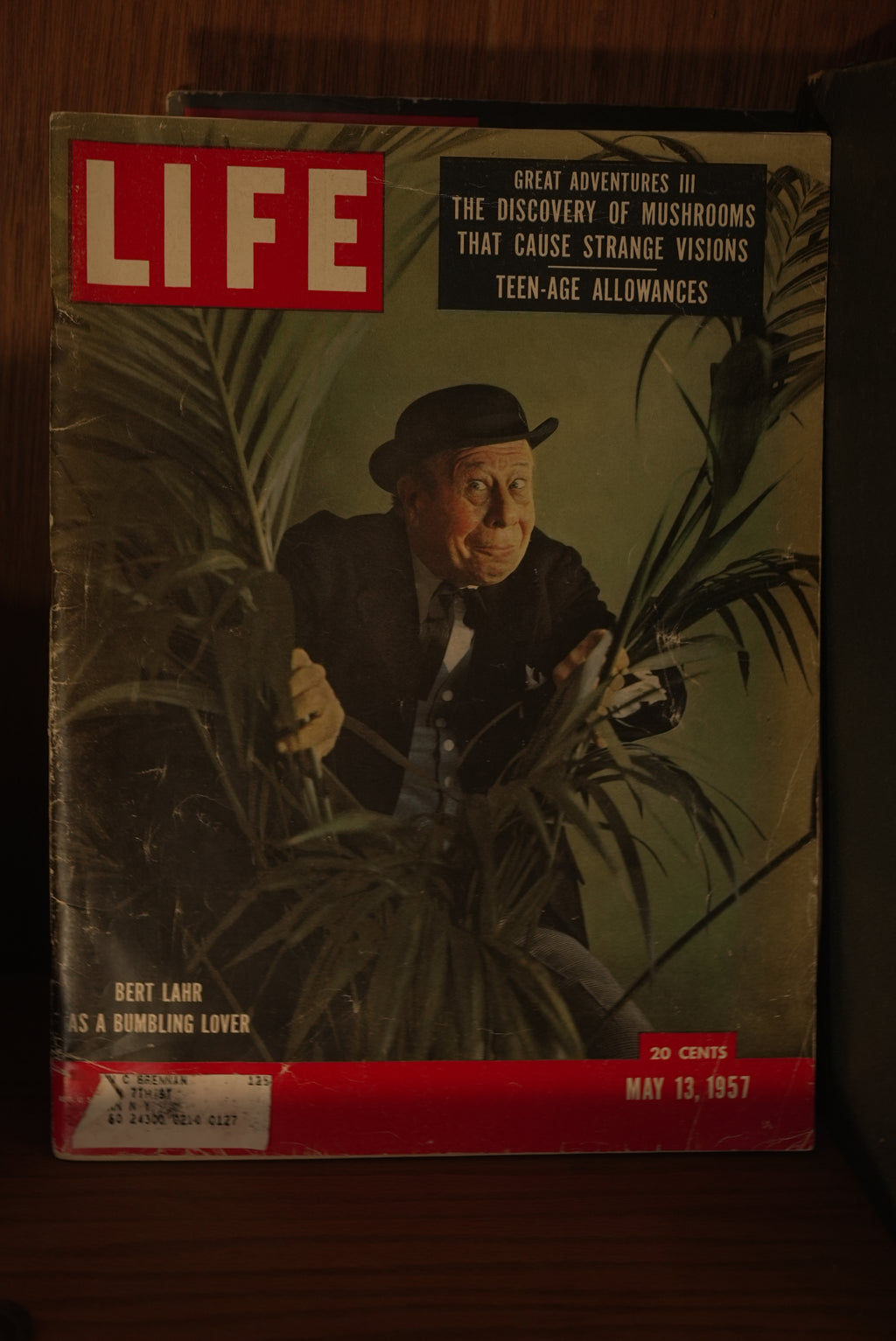 Life Magazine May 13, 1957 Magic Mushroom