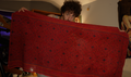 Gorgeous Hand Embroidered Red Shipibo Women's dress